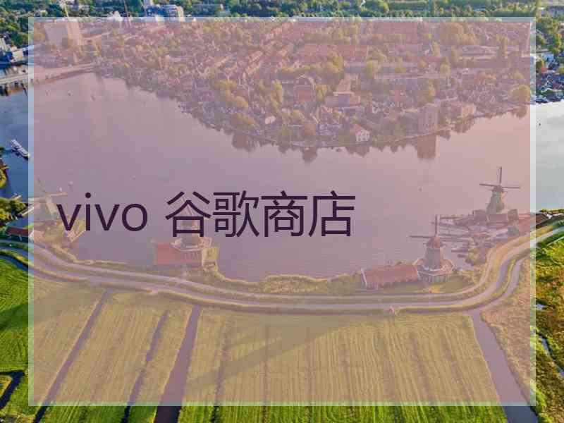 vivo 谷歌商店