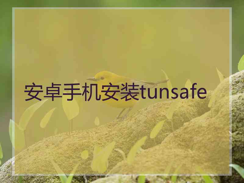 安卓手机安装tunsafe