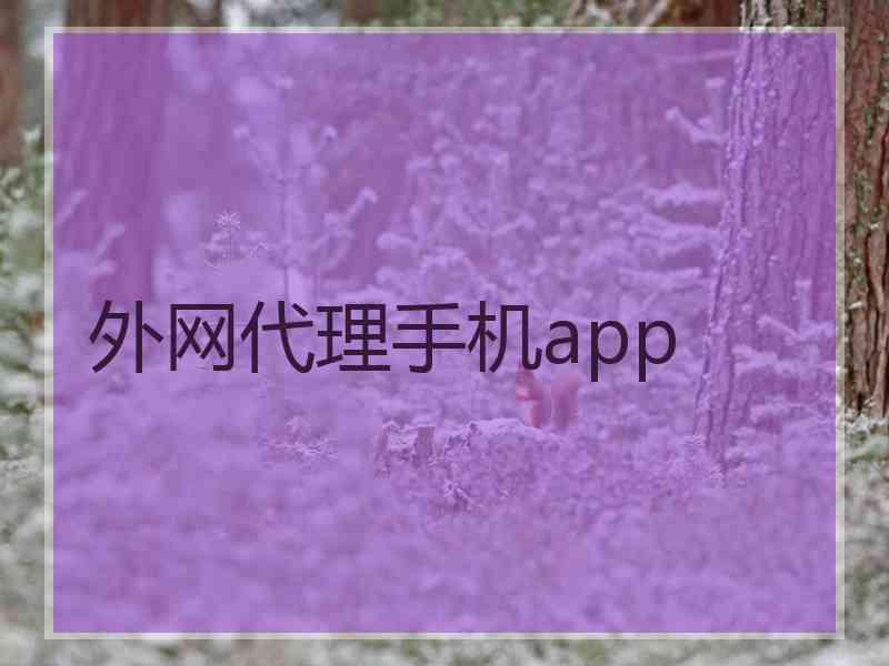 外网代理手机app