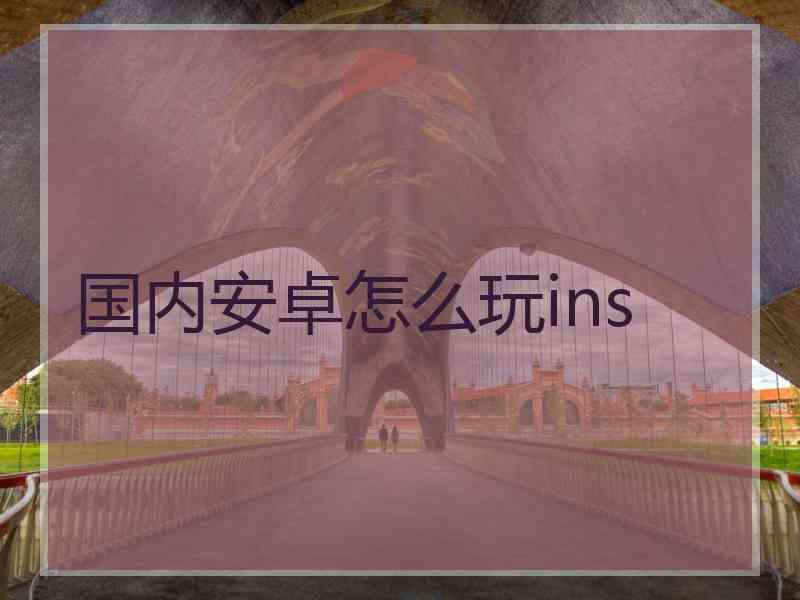 国内安卓怎么玩ins