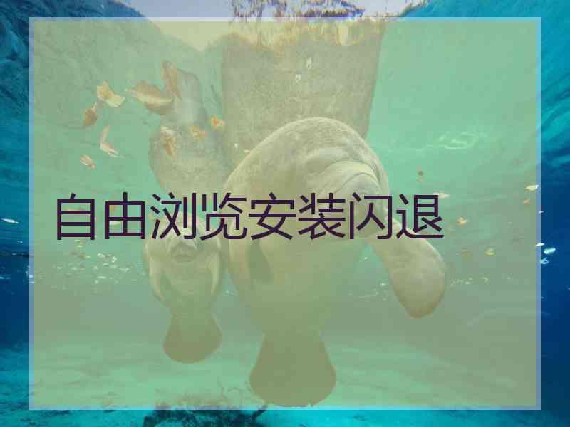 自由浏览安装闪退