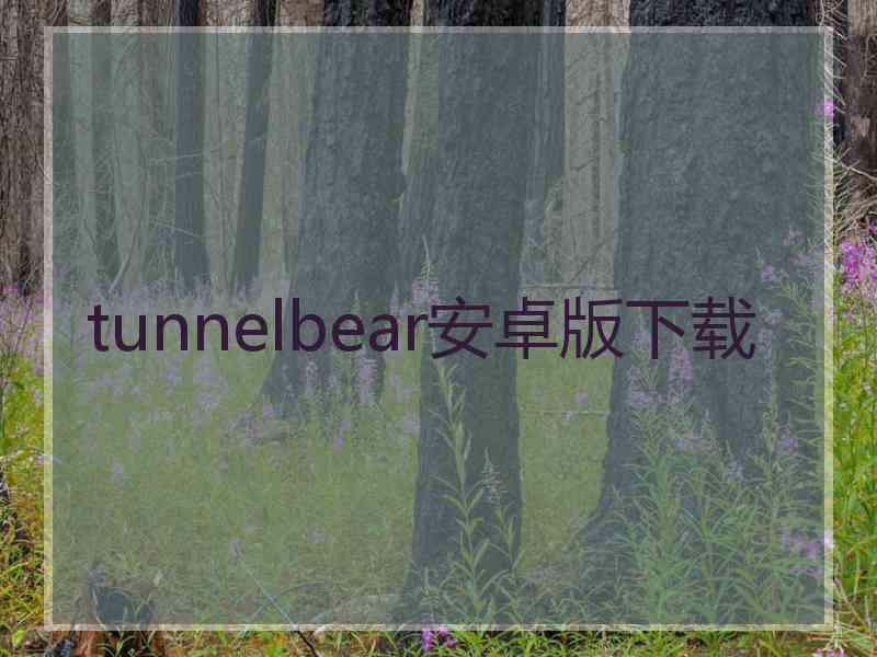 tunnelbear安卓版下载