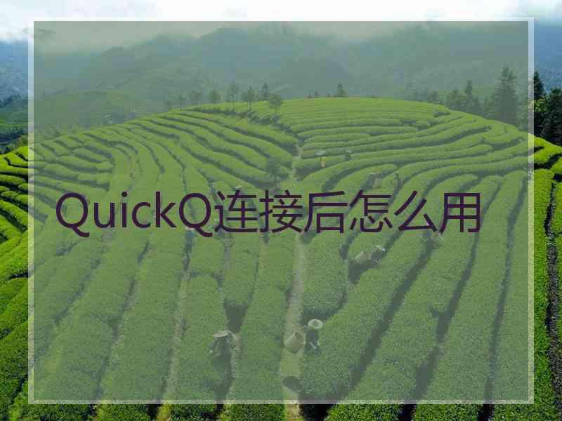 QuickQ连接后怎么用