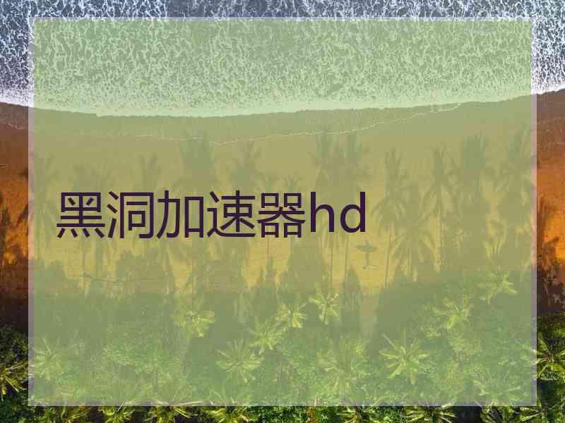 黑洞加速器hd