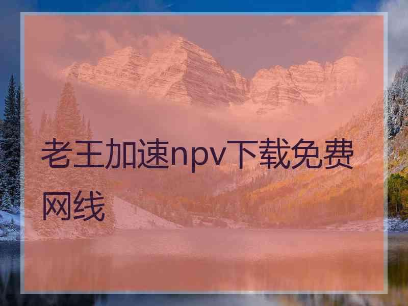 老王加速npv下载免费网线