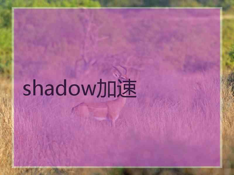 shadow加速