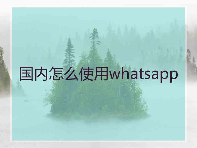 国内怎么使用whatsapp