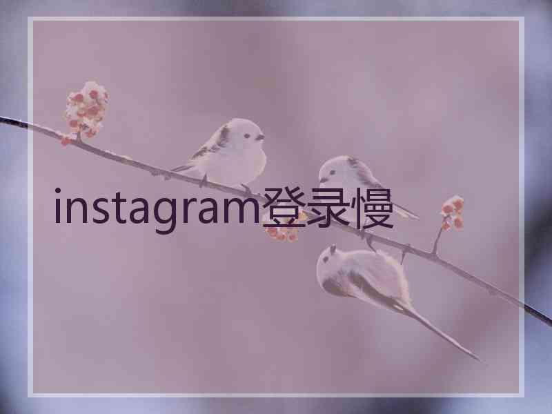 instagram登录慢