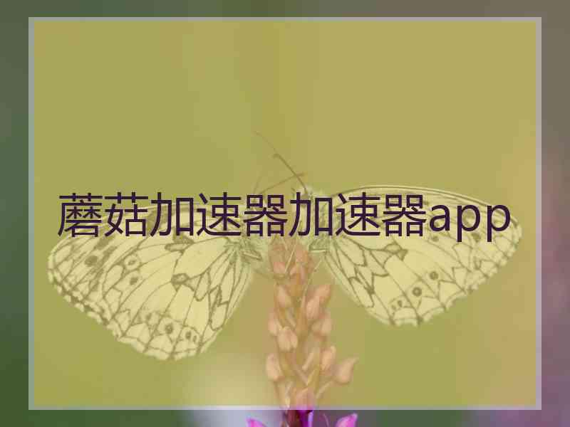 蘑菇加速器加速器app