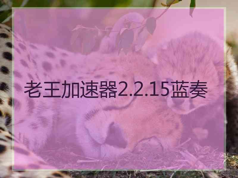 老王加速器2.2.15蓝奏