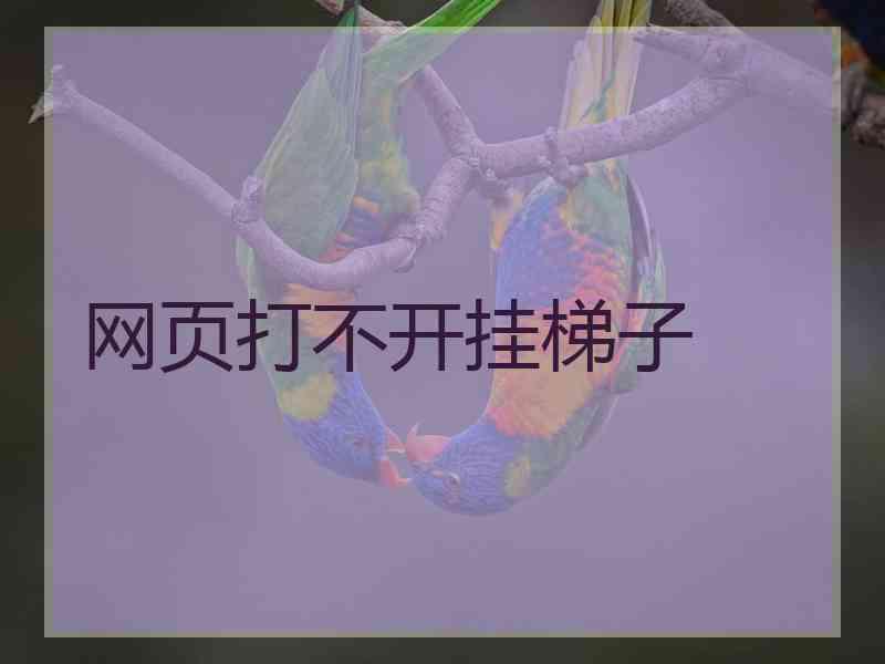 网页打不开挂梯子