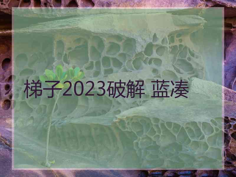 梯子2023破解 蓝凑