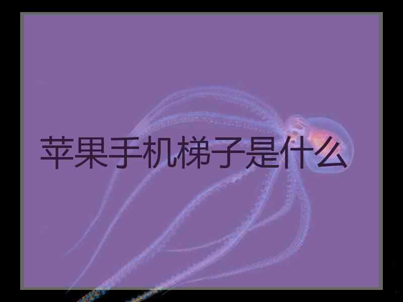 苹果手机梯子是什么