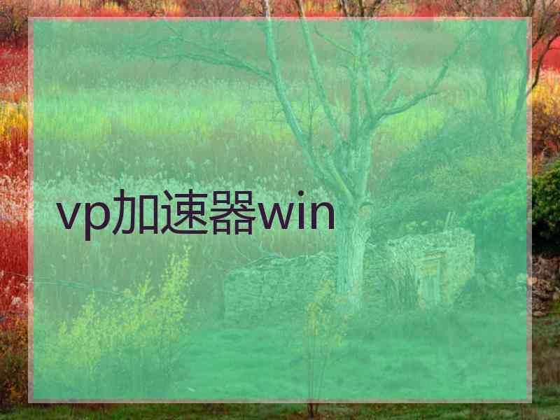 vp加速器win