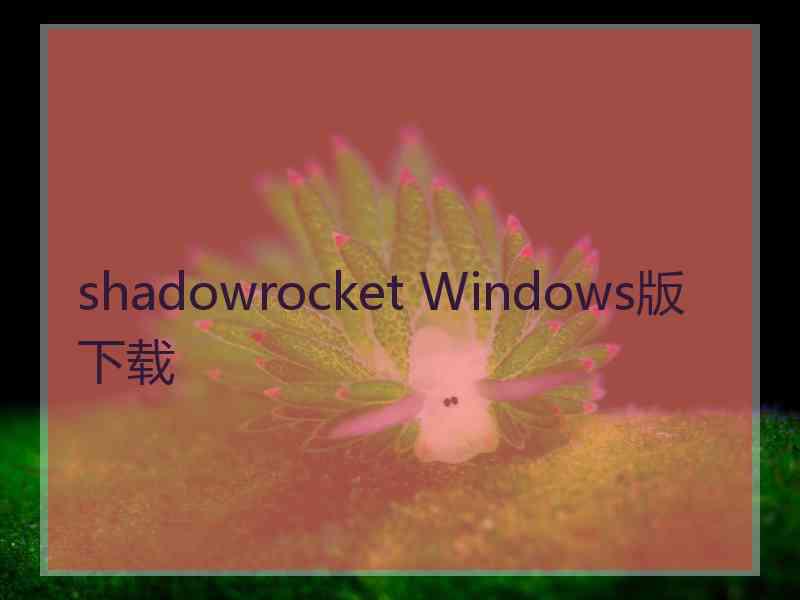 shadowrocket Windows版下载