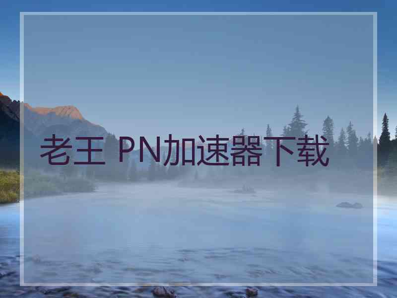 老王 PN加速器下载