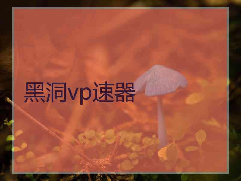 黑洞vp速器