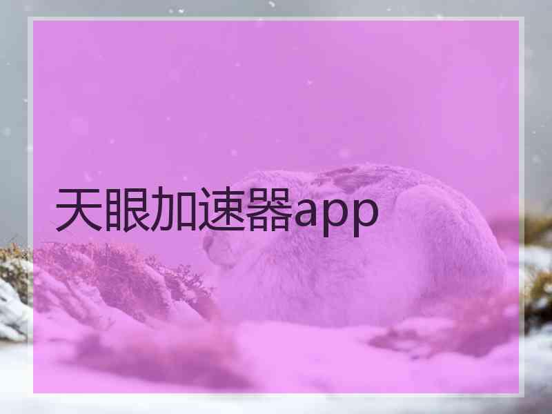 天眼加速器app