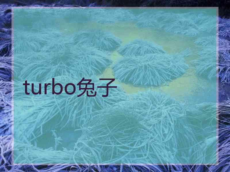 turbo兔子