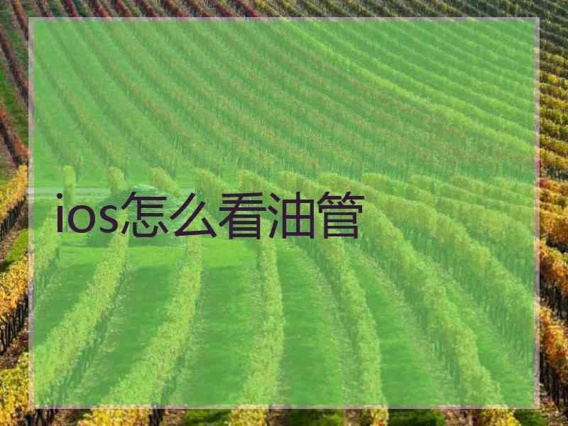 ios怎么看油管