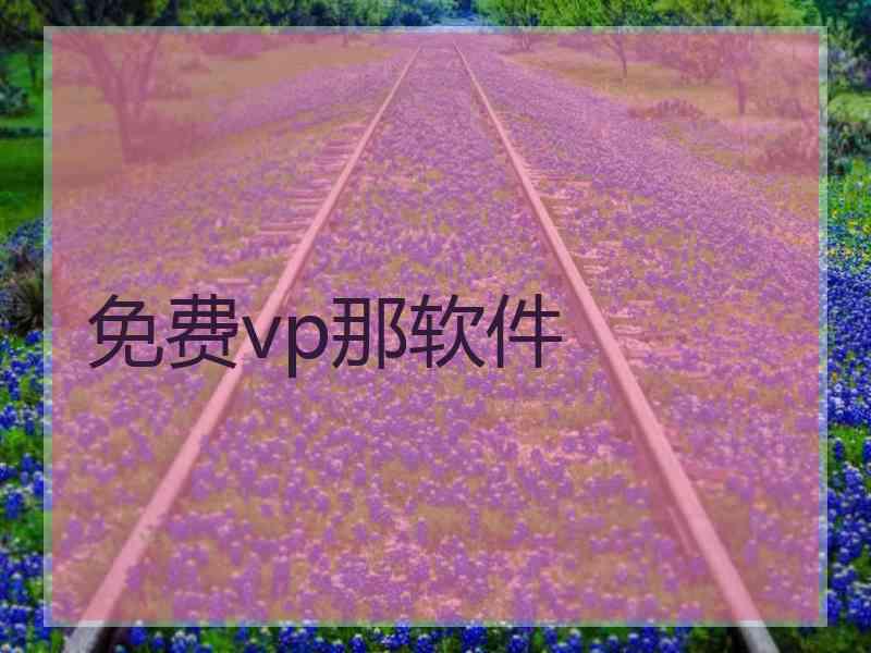 免费vp那软件