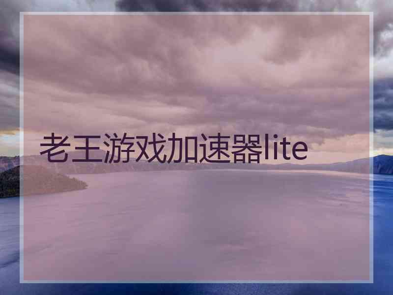 老王游戏加速器lite