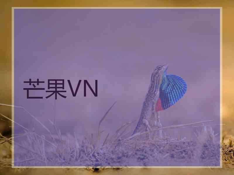 芒果VN