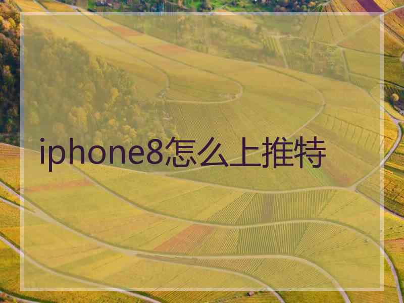 iphone8怎么上推特