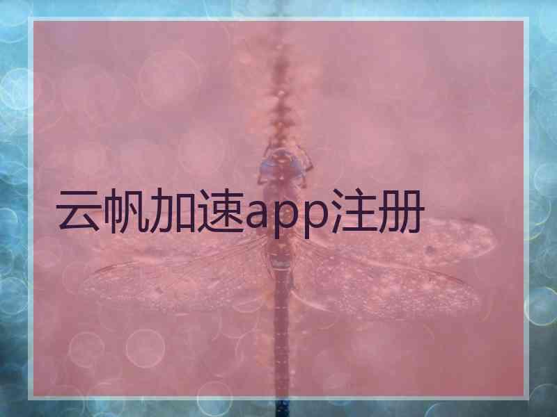 云帆加速app注册