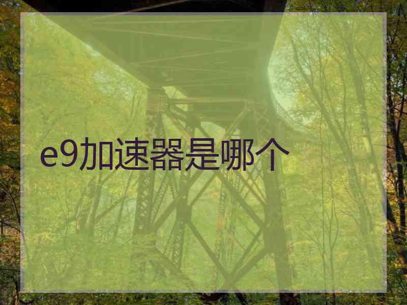 e9加速器是哪个