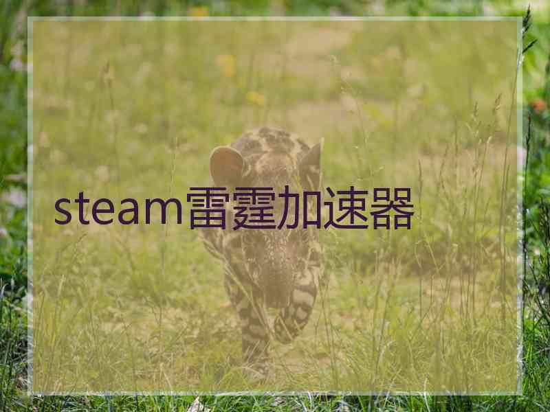 steam雷霆加速器