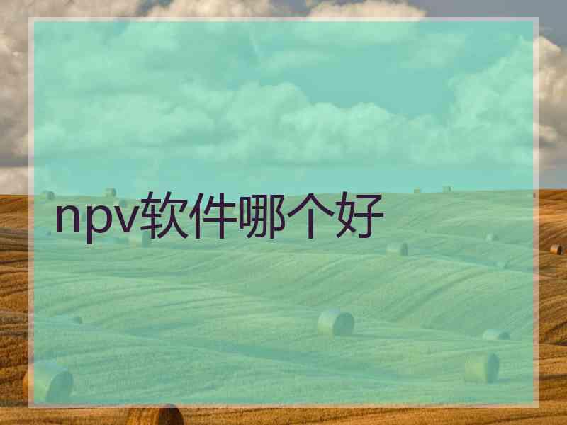 npv软件哪个好