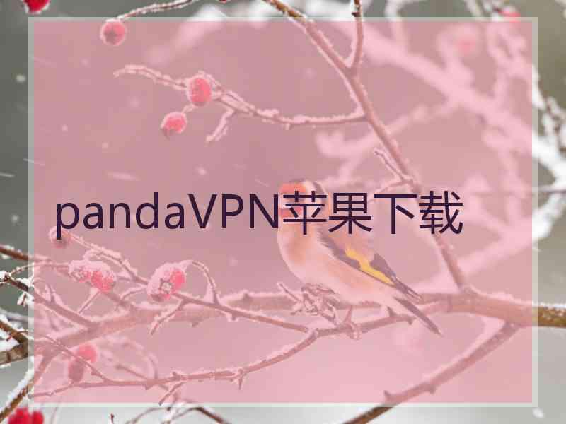 pandaVPN苹果下载