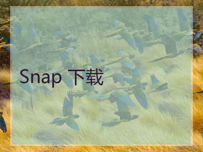 Snap 下载