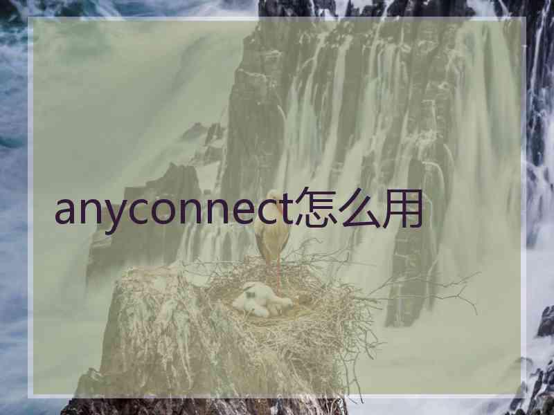 anyconnect怎么用