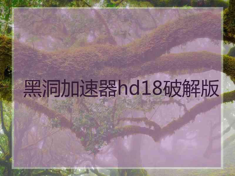 黑洞加速器hd18破解版