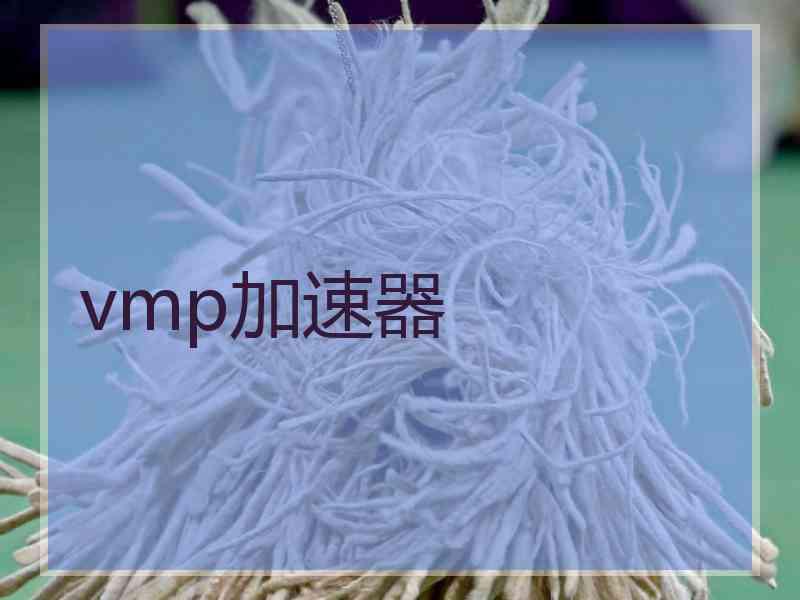 vmp加速器