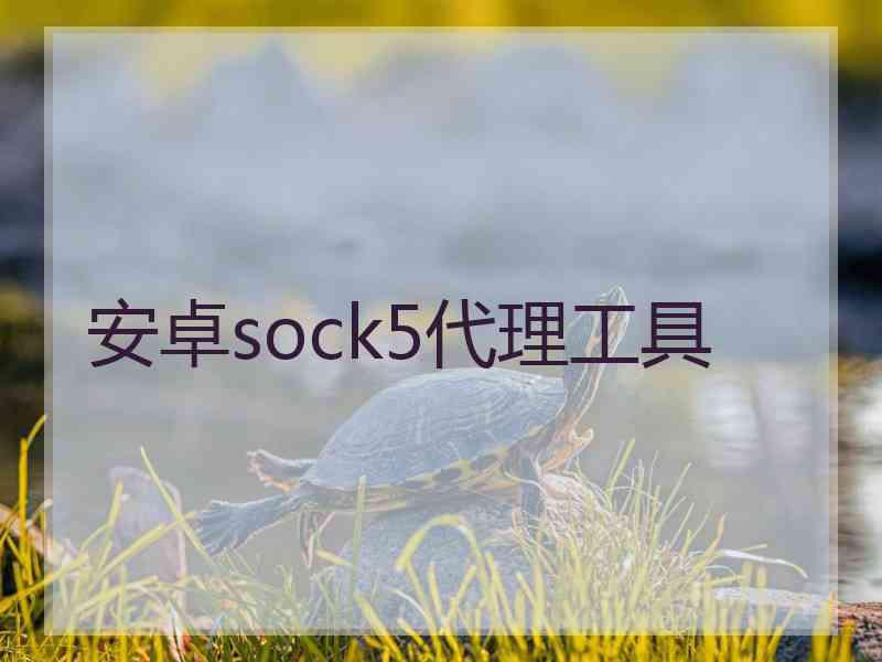 安卓sock5代理工具