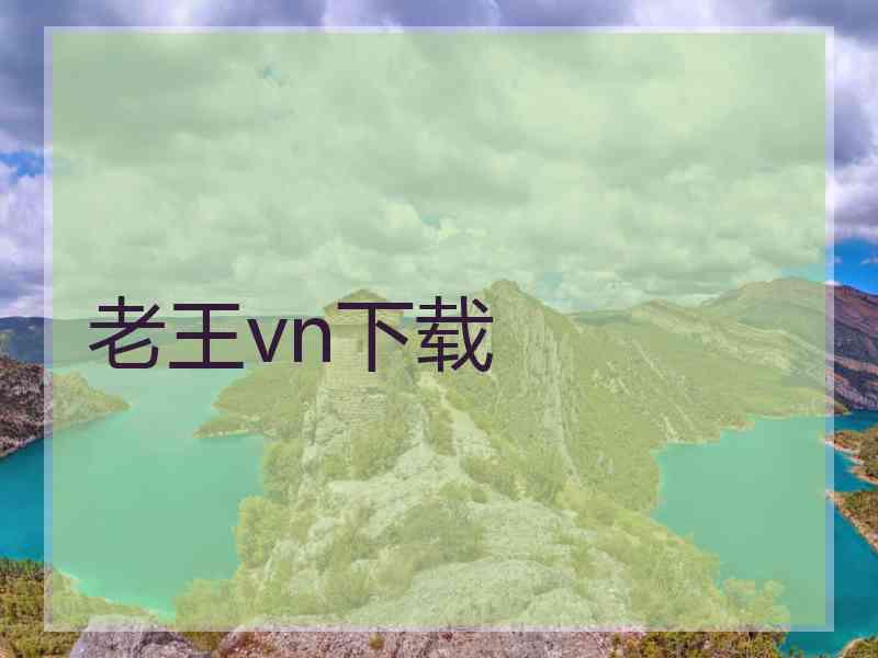 老王vn下载