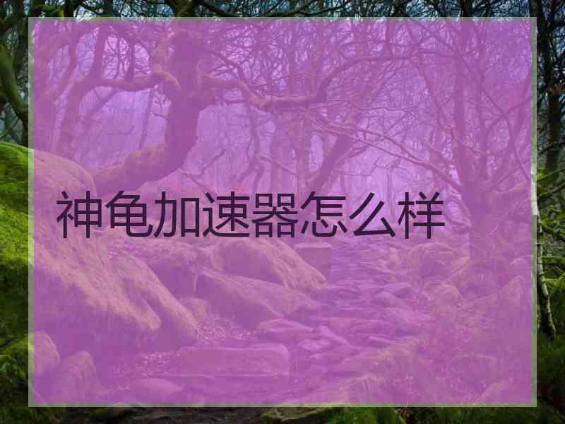 神龟加速器怎么样