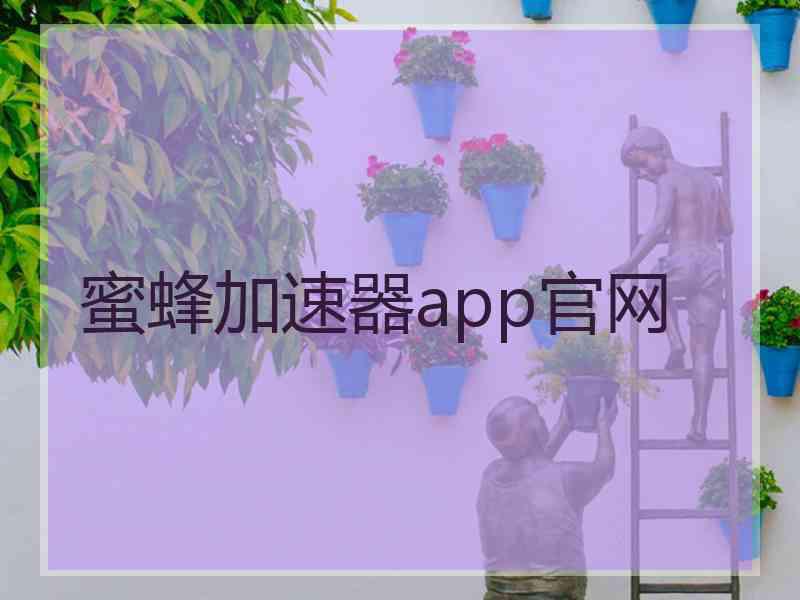 蜜蜂加速器app官网