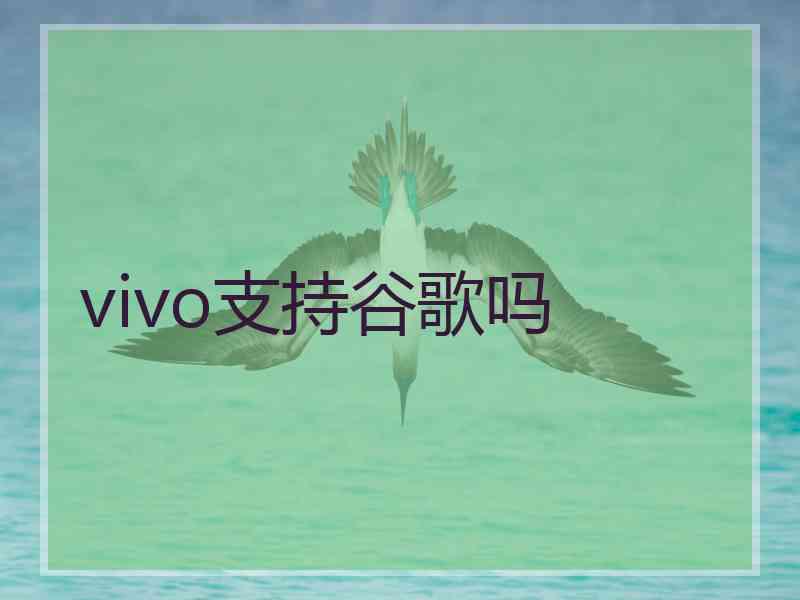 vivo支持谷歌吗