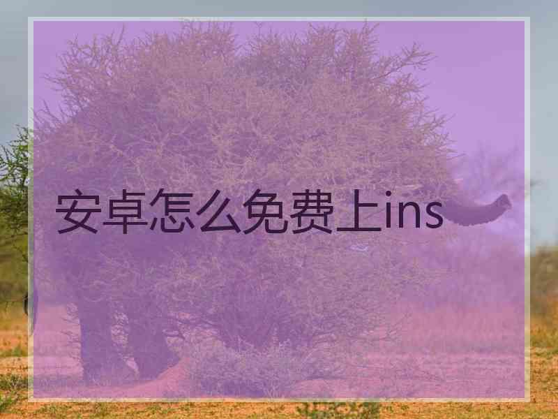 安卓怎么免费上ins