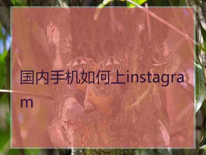 国内手机如何上instagram