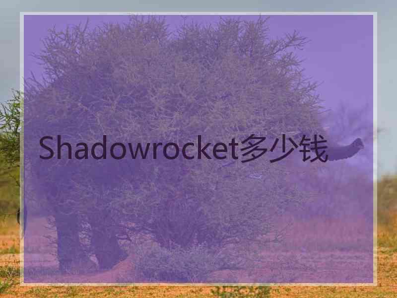 Shadowrocket多少钱