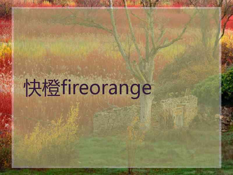 快橙fireorange