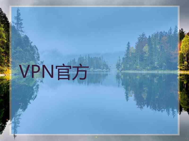 VPN官方