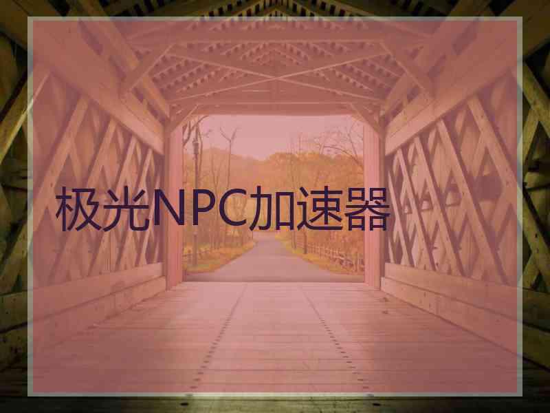 极光NPC加速器