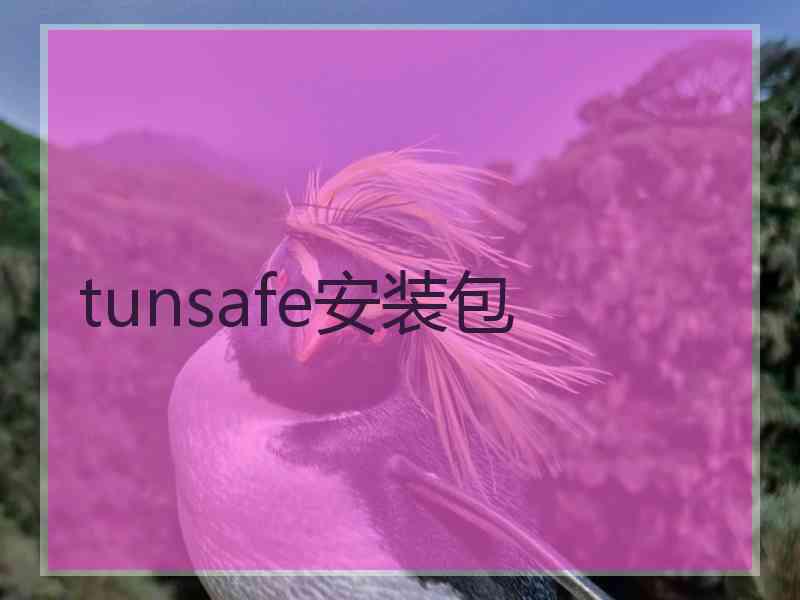 tunsafe安装包