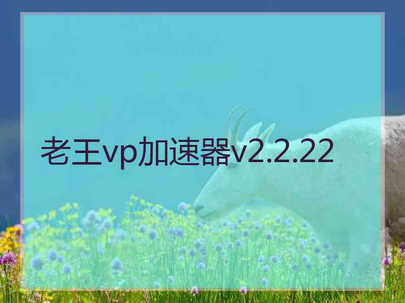 老王vp加速器v2.2.22